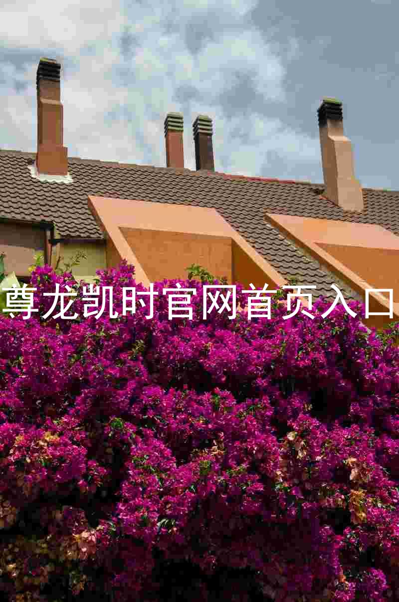 尊龙凯时官网首页入口